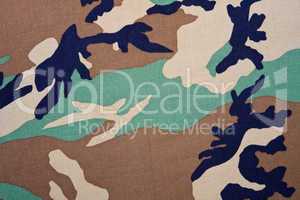 Military texture - camouflage
