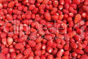 Abstract background from fresh strawberry