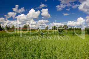 Summer landscape with beautiful clouds