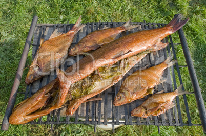 homemade fish smoking