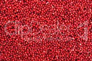 Abstract background from fresh cowberry