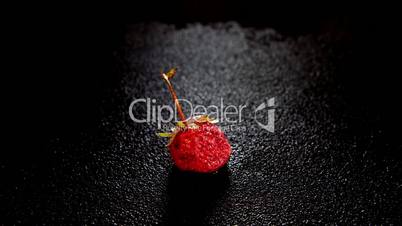 Time-lapse strawberry berry inside of melting ice cube on the black background