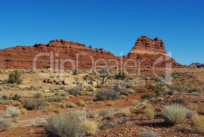 Desert and red rocks near White Canyon, Utah