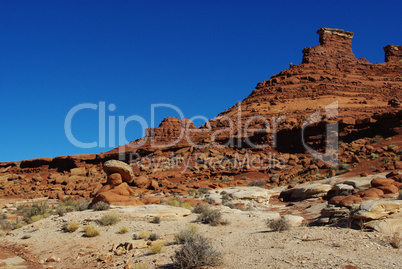 Desert and red rock formations near White Canyon, Utah