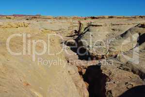 Detail of White Canyon, Utah