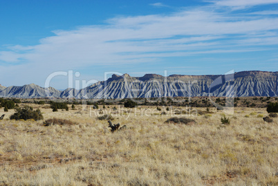 Desert and sandstone hills near Notom, Utah