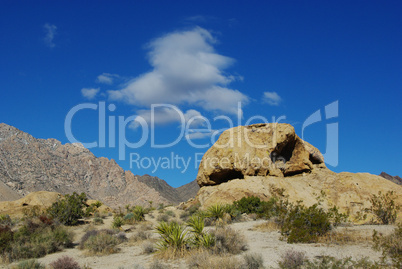 Yucca, rocks, mountains and cloud in blue sky near Christmas Tree Pass, Nevada