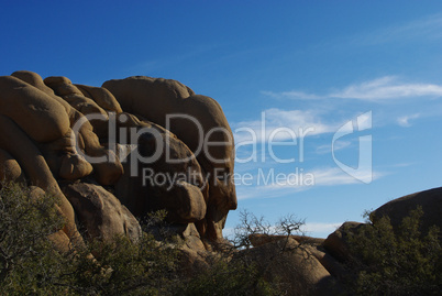 Face rock, Joshua Tree National Park, California