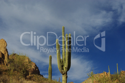 Saguaros and rocks near Tortilla Flat, Arizona
