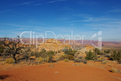 Orange and red variations near Vermillion Cliffs and Lake Powell, Arizona