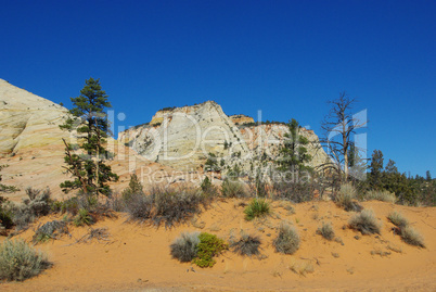 Sands and rocks with some green and blue sky, Zion, Utah