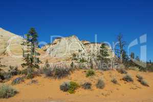 Sands and rocks with some green and blue sky, Zion, Utah