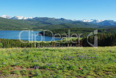 Flowers, meadows, forests, Rocky Mountains and Georgetown Lake, Montana