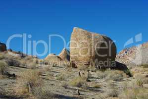 Bizarre rocks and plants on the way to Christmas Tree Pass, Nevada