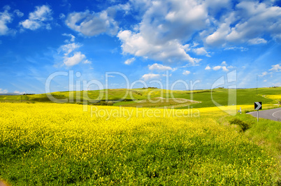 Countryside Landscape with Fields and Meadows