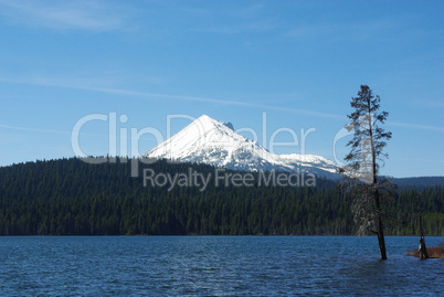 Lonely tree in Lake of the Woods with Mount McLoughlin, Oregon