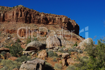 Colourful rocks in Zion National Park, Utah