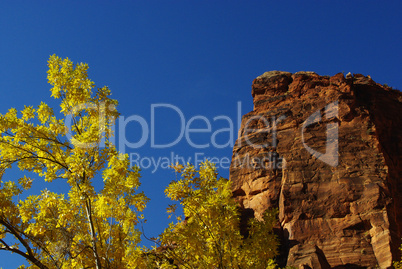 Autumn colours in Zion National Park, Utah