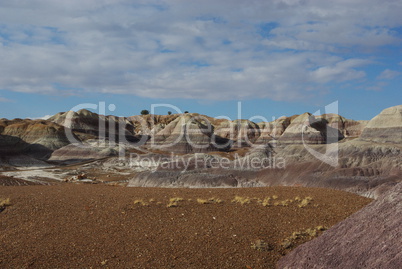 Beautiful colours, Petrified Forest National Park, Arizona