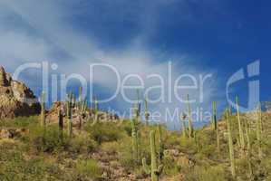 Saguaros, rocks and beautiful blue and cloudy sky, Arizona