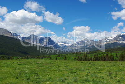 Meadows, forests and Rocky Mountains, Glacier National Park, Montana