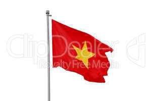 Vietnamese national flag