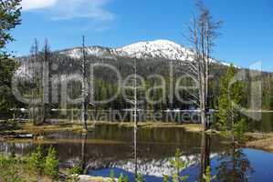 Reflection of trees and snow mountain in beautiful lake near Yellowstone National Park, Wyoming