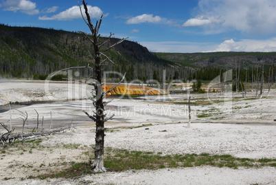 Yellowstone National Park impression, Wyoming