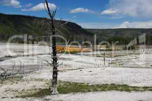 Yellowstone National Park impression, Wyoming