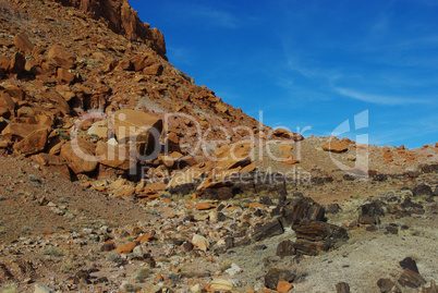 Petrified wood, orange rocks and blue sky, Utah
