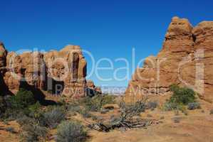 Dry tree in small canyon with high desert view, Arches National Park, Utah