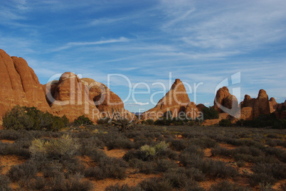Dry tree and bizarre rock formations, Arches National Park, Utah