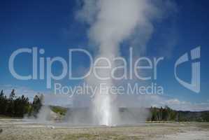 Geyser erupting high into the sky, Yellowstone National Park, Wyoming