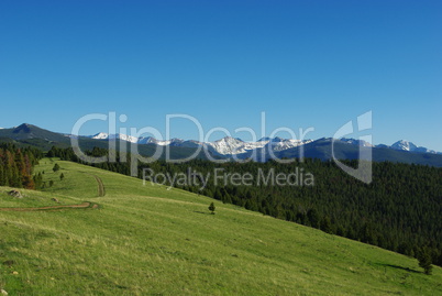 Quiet mountain trail with wide forests and high Rockies, Montana