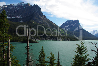 Soft late afternoon light on dry trees and St Mary Lake with Rockies, Montana