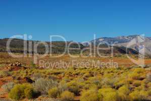 Intense high desert colours near southwestern Utah/Nevada border