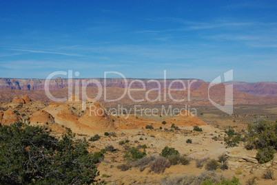 Orange, red and green variations under a blue and white sky, Arizona