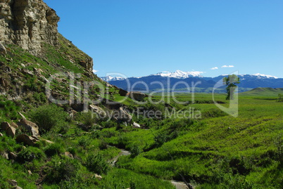 Stream, green grasslands, high Absaroka Rockies, Shoshone National Forest, Wyoming