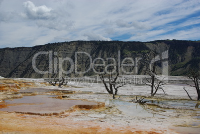 Mammoth Terraces, Yellowstone National Park, Wyoming