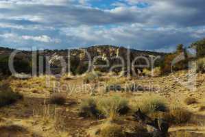 Sand, dry wood, rocks and beautiful evening sky, Utah