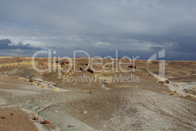 Petrified Forest National Park, Arizona