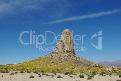 Yellow flowers around one of many Trona Pinnacles, California