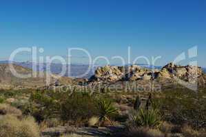 High desert plants, rocks and wide mountain view near Christmas Tree Pass, Nevada