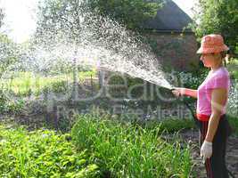 The girl watering a kitchen garden