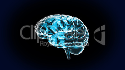 the blue crystal brain