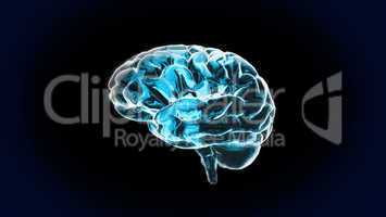 the blue crystal brain