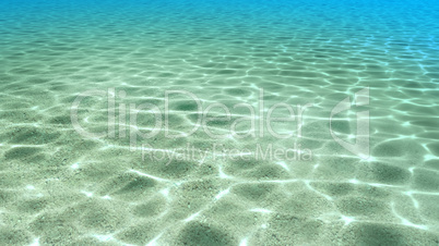 summer beach water render