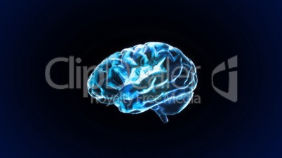 blue crystal brain still render