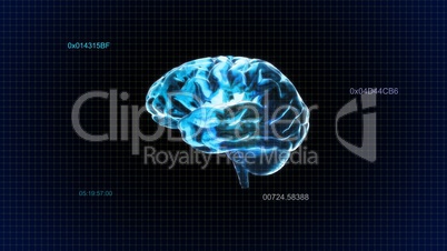 blue crystal brain timecode
