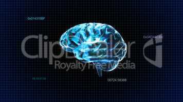 blue crystal brain timecode